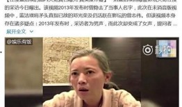 卓伟爆料蓝洁莹视频,真相揭秘引网友热议